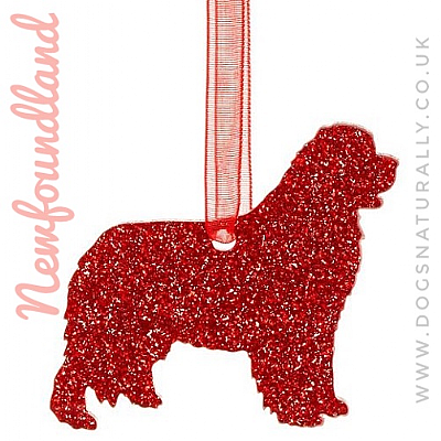 Newfoundland Glitter Decoration (Choose from 11 colours or Mix)